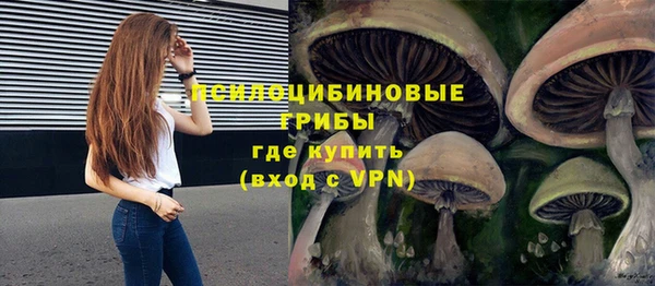 винт Баксан